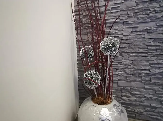 Zur Linde 2* Rommerskirchen